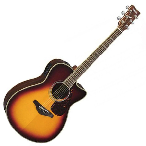 Electro-acoustic Steel-string Guitar