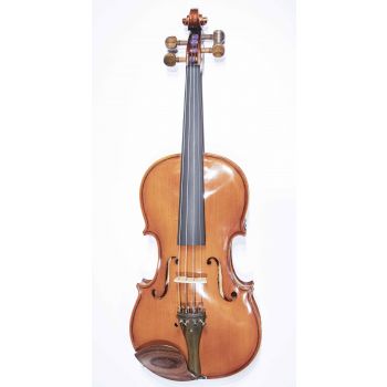 4/4 Strunal 333w Stradivarius Professional Bologna