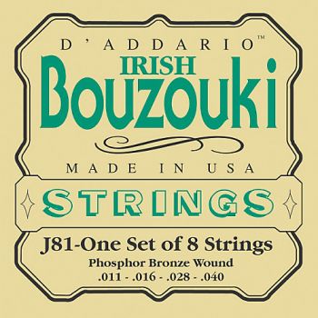 D'Addario Irish Bouzouki .011-.040 J81