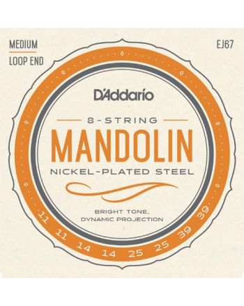 D'Addario Nickel-Plated Steel .011-.039 EJ67