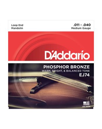 D'Addario Phosphor Bronze .011-.040 EJ74