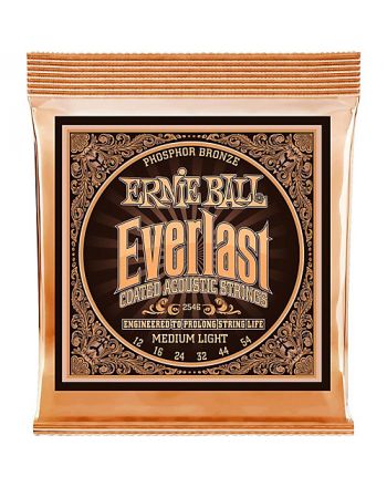 Ernie Ball Everlast Phosphor Bronze .012-.054 2546